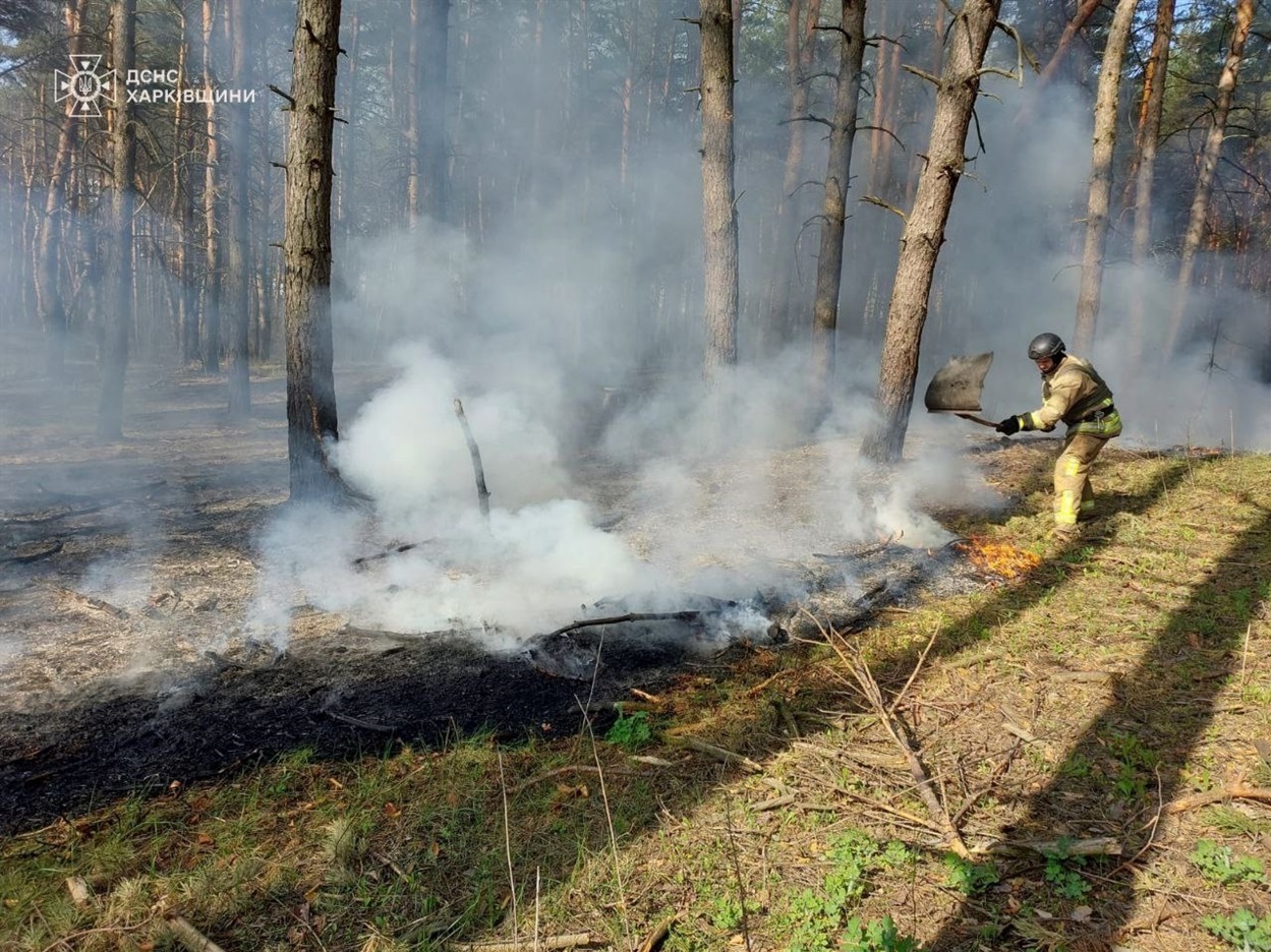 Ліквідація пожежі у лісосмузі
