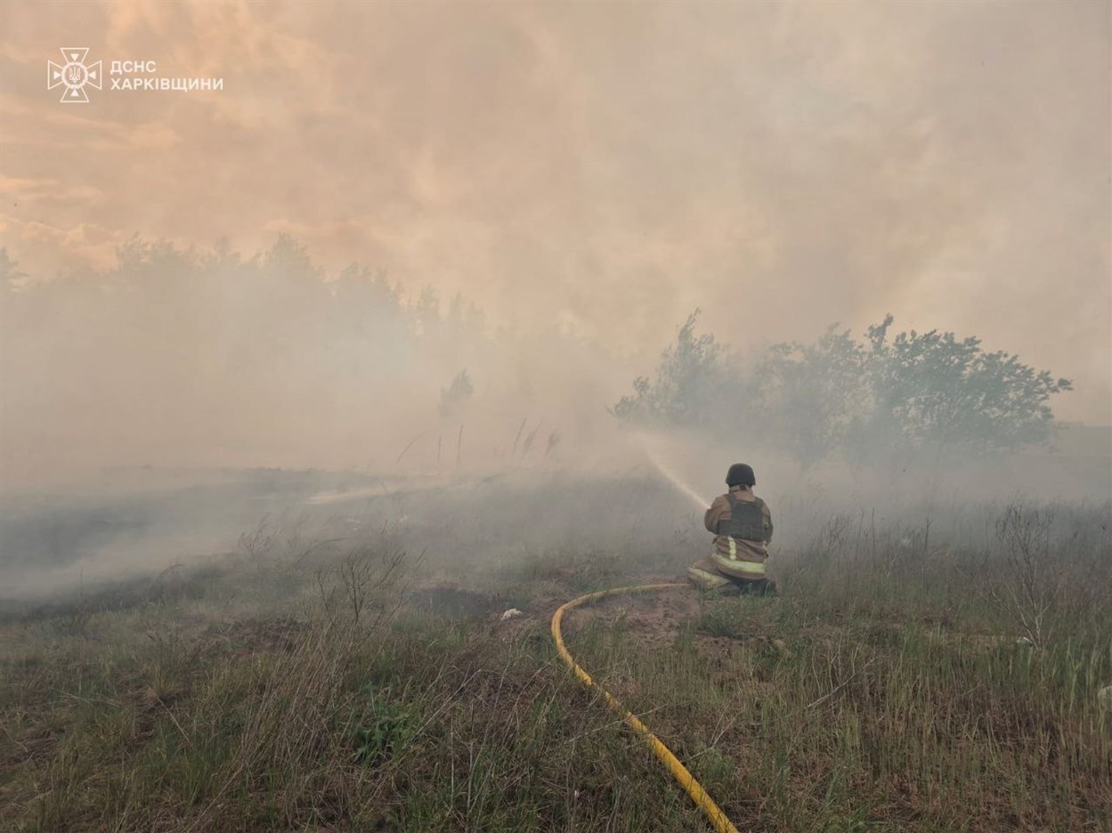 Ліквідація лісової пожежі 7 травня