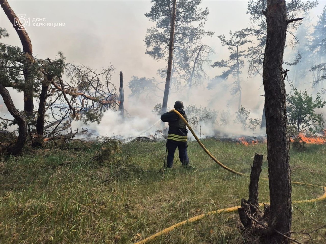 Ліквідація лісової пожежі у Курилівській громаді 7 травня