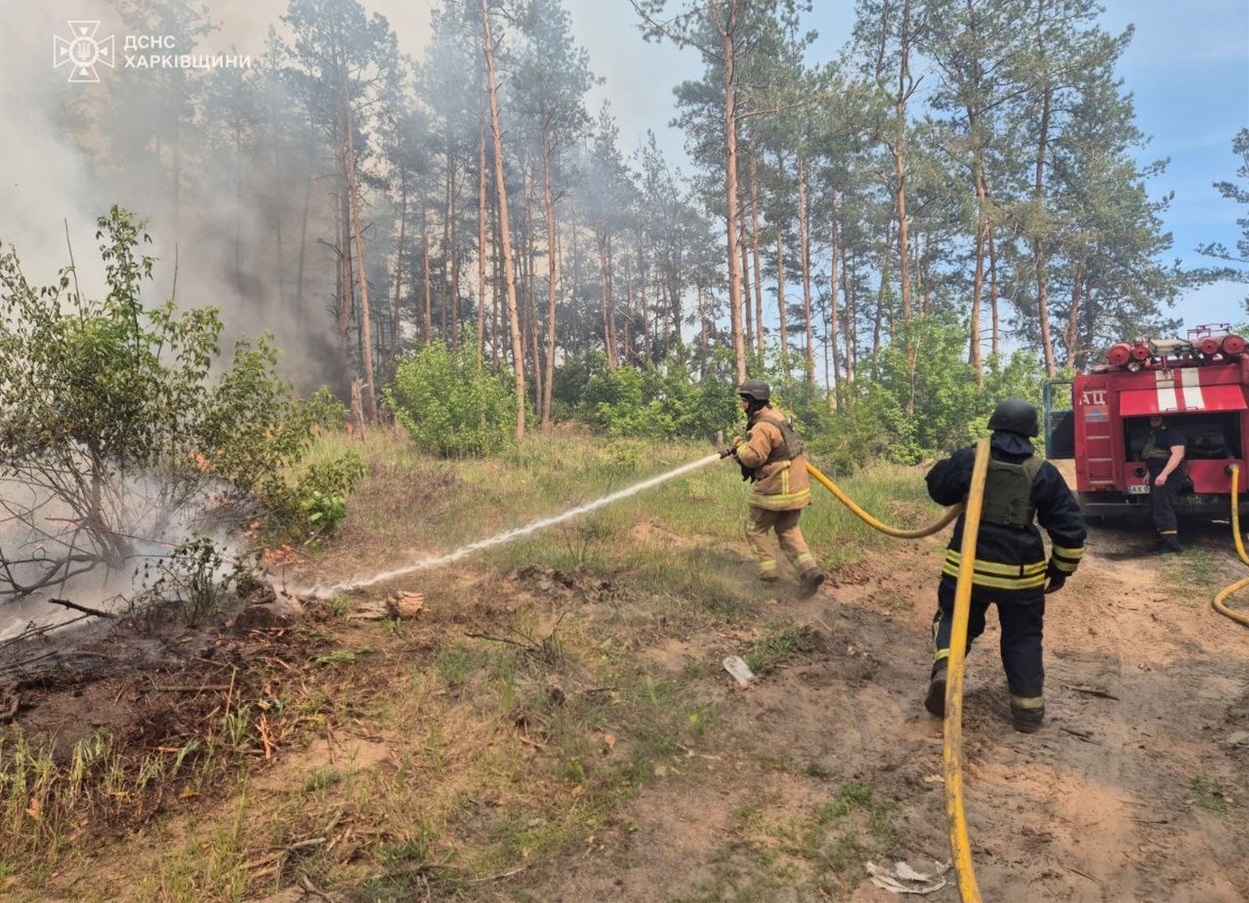Ліквідація лісової пожежі у Курилівській громаді 7 травня