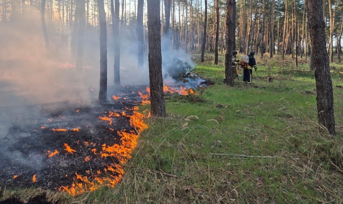 Наслідки обстрілів
