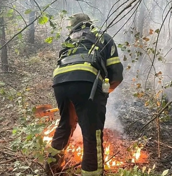 Лісова пожежа внаслідок обстрілу