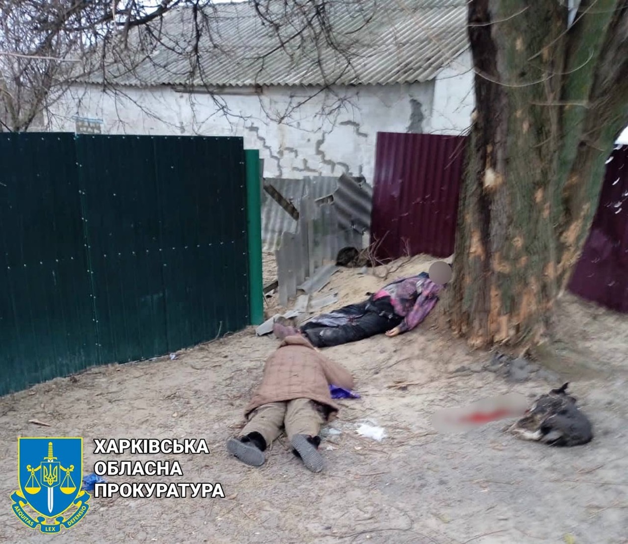 Жертви обстрілу