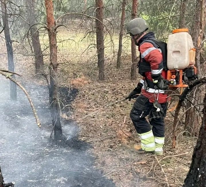 Лісова пожежа внаслідок обстрілу