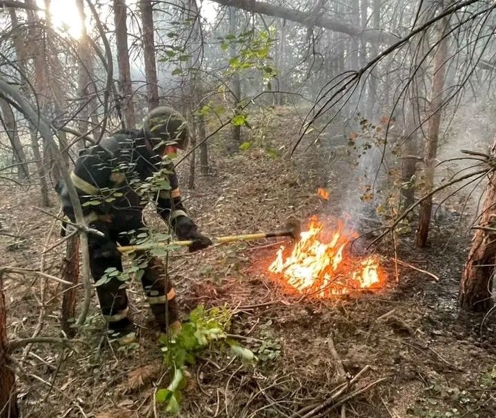 Лісові пожежі на Купʼянщині