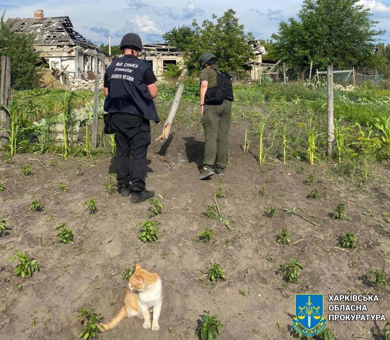 Наслідки обстрілів 2 липня